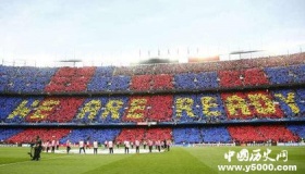 TIFO简介TIFO拼图TIFO文化是什么