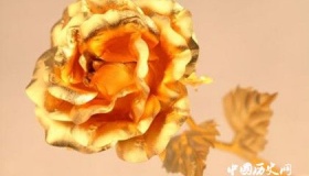 鲁滨逊·克鲁索岛的黄金之谜是怎么回事