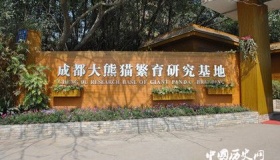 2018最具幸福感城市有哪些为什么最具幸福感