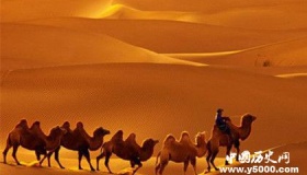 隆美尔财宝之谜：隆美尔财宝在哪里为什么消失了