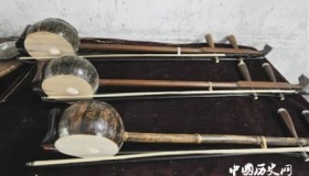 椰胡历史发展简介椰胡有多少种类？