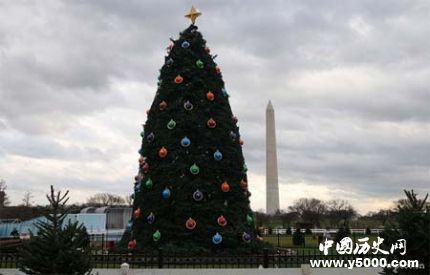 圣诞树发展历史传说简介圣诞树到底是什么树？