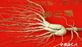 东北三宝是指哪三宝东北新三宝是哪三宝