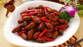 东北有哪些特色菜东北特色菜介绍