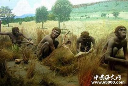 人类起源之谜：人类是从猿进化来的吗