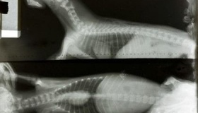 具有透视功能的女孩是谁为什么会有透视功能能看到什么