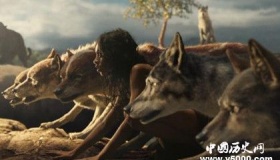 被野兽养大的孩子是怎样的为什么野兽会收养孩子