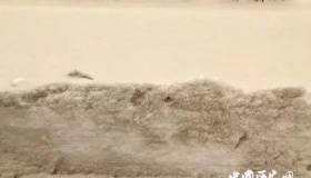 乌鲁木齐下黄雪是怎么回事乌鲁木齐气候环境怎么样