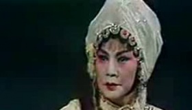 张新芳简介张新芳的故事如何评价张新芳？