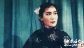 鑫艳玲简介鑫艳玲的故事如何评价鑫艳玲？