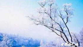 库尔滨雾凇岛地理位置介绍库尔滨雾凇形成原因形成时间介绍