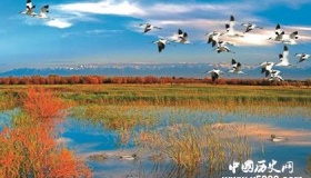 黑河市简介黑河市地理位置气候环境介绍旅游景点旅游攻略