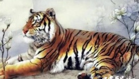 生肖虎简介生肖虎是怎么来的生肖虎的性格特点