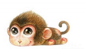 生肖猴是怎么来的属猴的人有哪些性格特点