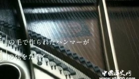 羊与钢的森林人物剧情故事结局羊与钢的森林语录读后感