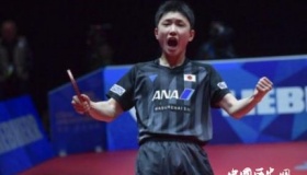 林高远输给张本智和林高远张本智和职业生涯简介