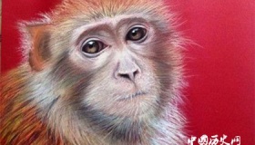 属猴的人2019年运势怎么样属猴的人幸运物是什么