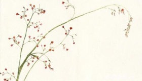 杜荀鹤简介杜荀鹤生平经历介绍杜荀鹤有哪些文学贡献