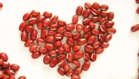 红豆为什么叫相思豆红豆代表相思的原因