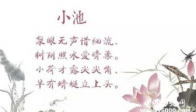 杨万里小池原文鉴赏作品翻译小池创作背景是什么