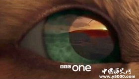 英剧《兔子共和国》剧情内容介绍主题曲叫什么原著内容介绍