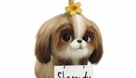 爱宠大机密2剧情故事介绍什么时候上映爱宠大机密观后感