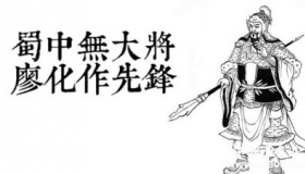 三国人物廖化生平简介廖化的故事廖化是怎么死的？
