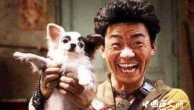 2019年春节期间上映的电影有哪些春节档电影盘点剧情介绍