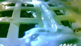 嫦娥四号完成人类首次月面生物实验嫦娥四号有哪些生物实验