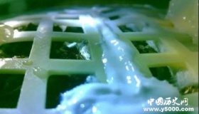 嫦娥四号试验结束生物科普载荷试验是什么？