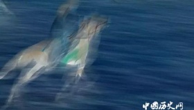 2018中蕴杯国际马文化摄影艺术大展获奖名单奖项设置奖金多少