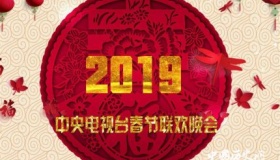 猪年央视春晚阵容公布猪年央视春晚都有哪些看点？