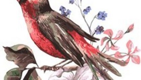 陈继儒简介生平经历书画文学作品介绍怎么死的墓地在哪里