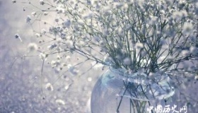 满天星的花语和寓意满天星适合送什么人？