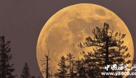 超级月亮怎么出现的超级月亮历年出现的时间
