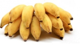 芭蕉的寓意芭蕉象征着什么意义？