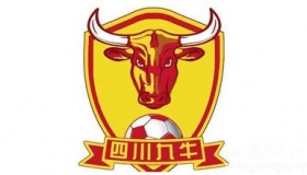 曼城收购川足曼城为什么收购川足川足俱乐部简介