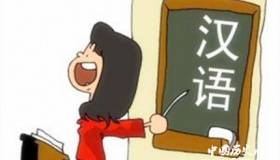 沙特开设汉语课程哪些国家开设了汉语课程？