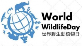 世界野生动植物日简介世界野生动植物日主题活动有哪些？