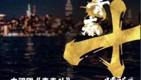 电视剧青春斗定档青春斗什么时候上映？