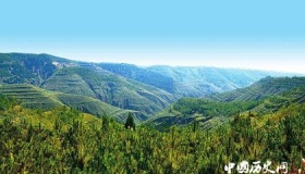 人工造林最多国家人工造林的特点和意义是什么