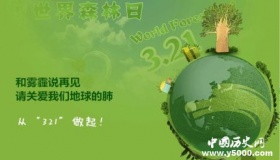 世界森林日资料简介世界森林日活动主题有哪些？