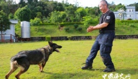 全国首只克隆警犬诞生克隆警犬有什么用处？