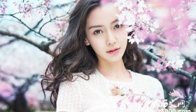 Angelababy抽烟被拍Angelababy为什么要抽烟