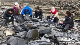 宜昌现清江生物群有哪些价值和意义？