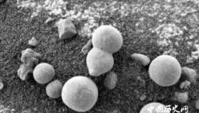 火星拍到蘑菇照片火星上有生命吗？