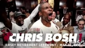 热火退役波什球衣波什热火生涯资料介绍