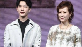 叶童出演许仙母亲当初为什么要叶童出演许仙？