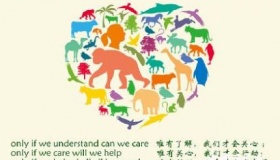 国际珍稀动物保护日由来国际珍稀动物有哪些？