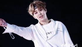 xiumin将入伍 xiumin资料简历